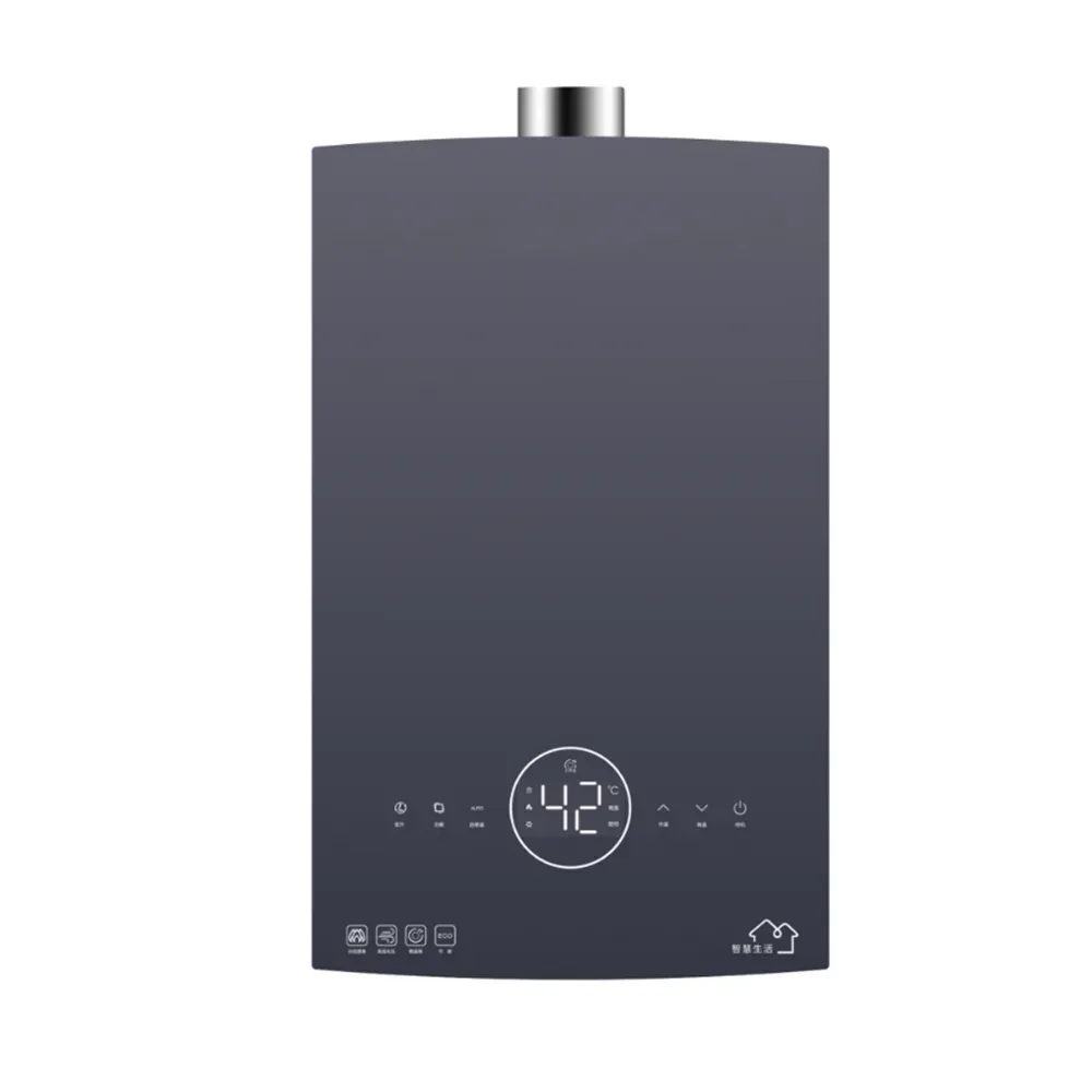 Smart Gas Water Heater with Wi-Fi Control